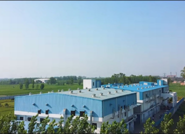 Untitled design (16)